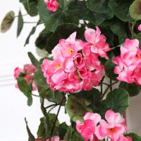 uploads/erp/collection/images/Home Garden/CongDing/XU0610324/img_b/XU0610324_img_b_2